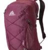 Gregory Kiro 22 Backpack Amethyst Purple 7 Gregory Kiro 22 Backpack Amethyst Purple -Guess Verkaufsgeschäft GREGORY Rucksack Kiro 22 Backpack Amethyst Purple 297612 1