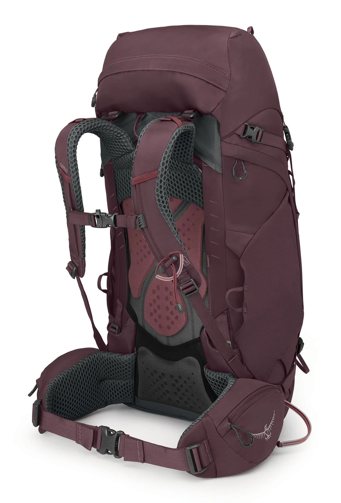 Osprey Kyte 48 M / L Elderberry Purple 4 Osprey Kyte 48 M / L Elderberry Purple – Bild 4